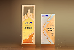 万象城AWC国际一举斩获“2024年度中国区最佳雇主”等多项大奖